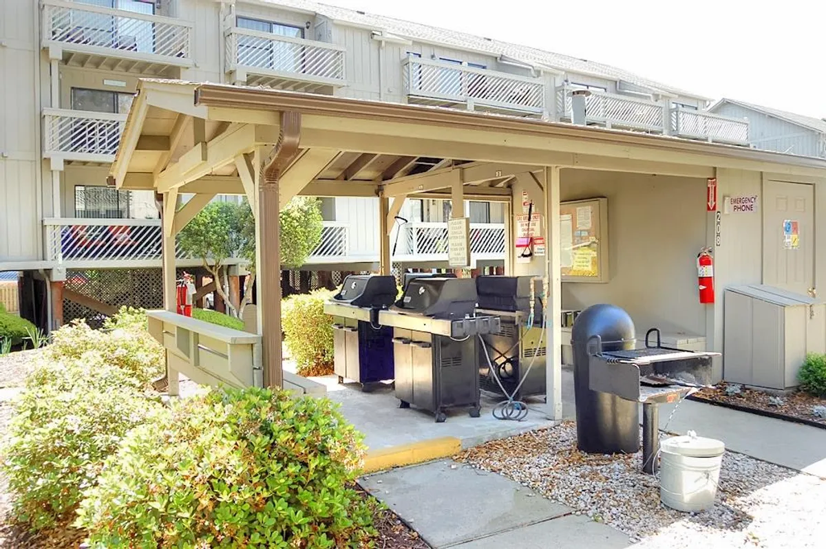 A modern grilling area with multiple grill stations and comfortable seating, set outdoors among landscaped bushes. The space is clearly designed for communal gatherings, barbecues, and socializing in a relaxed setting.